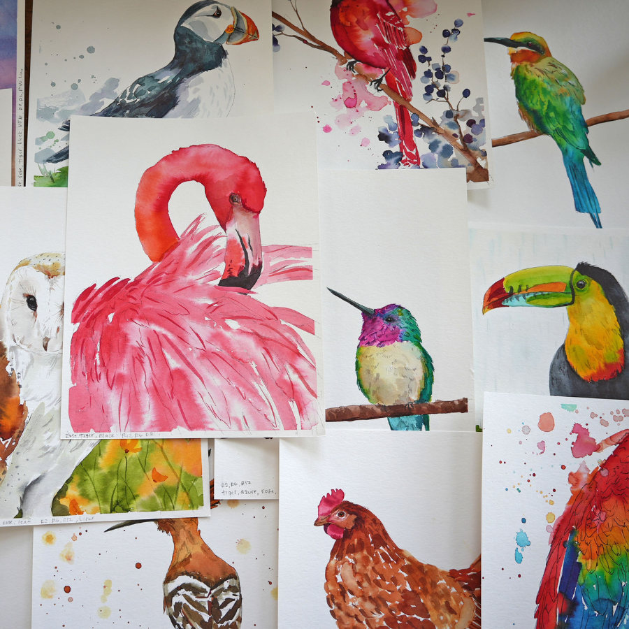 Bird Workbook Video Package (Digital Product Only)