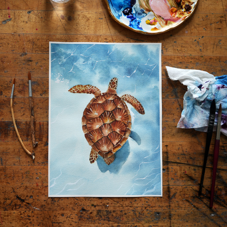 Clearwater Sea Turtle - Digital Kit