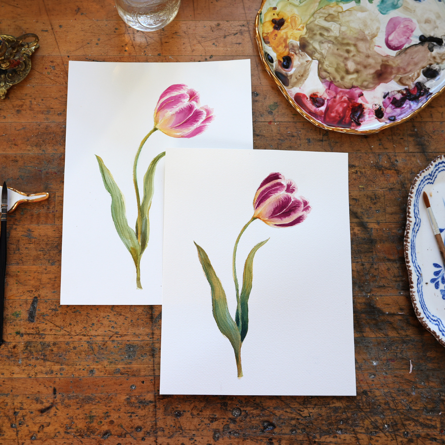 Parrot Tulip - Digital Kit