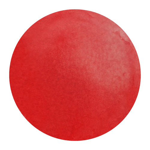 Dandelion Paint Co. Red (7ml)