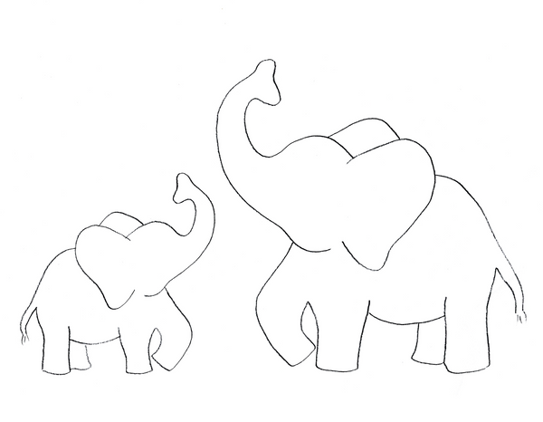 Elephant Splash Party