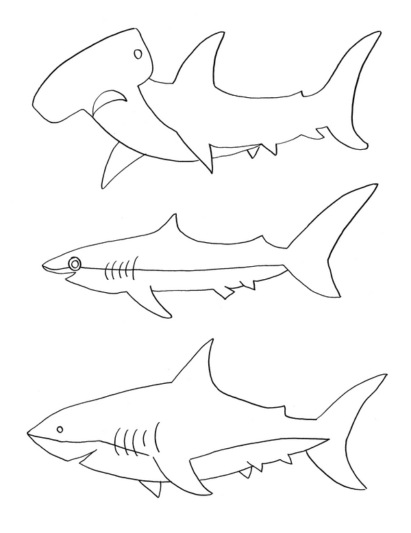 Sharks