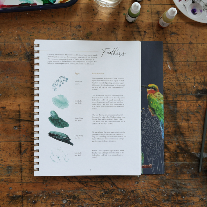 Bird Workbook by Sarah Cray Let's Make Art