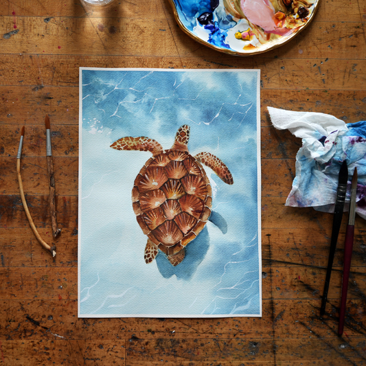 Clearwater Sea Turtle - Digital Kit