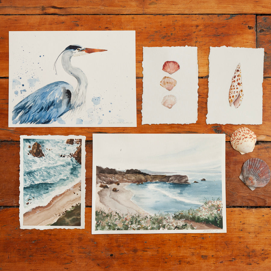 Along the Coast Watercolor Art Box