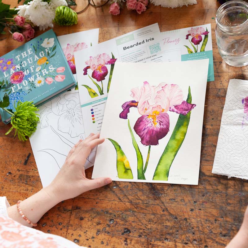 Bearded Iris Watercolor Project Kit