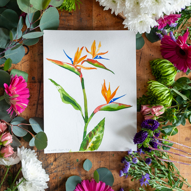 Language of Flowers Watercolor Art Box