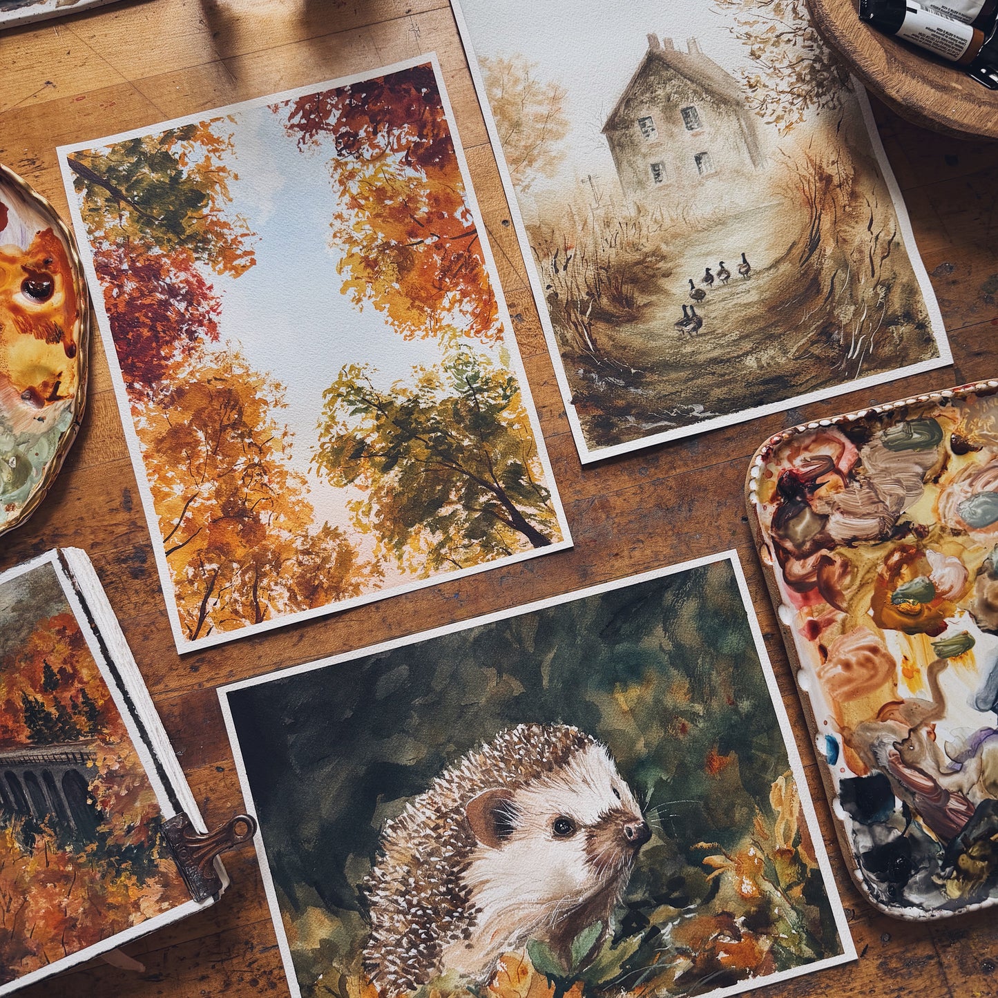 November Digital Pack