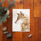 Wolf Watercolor Project Kit