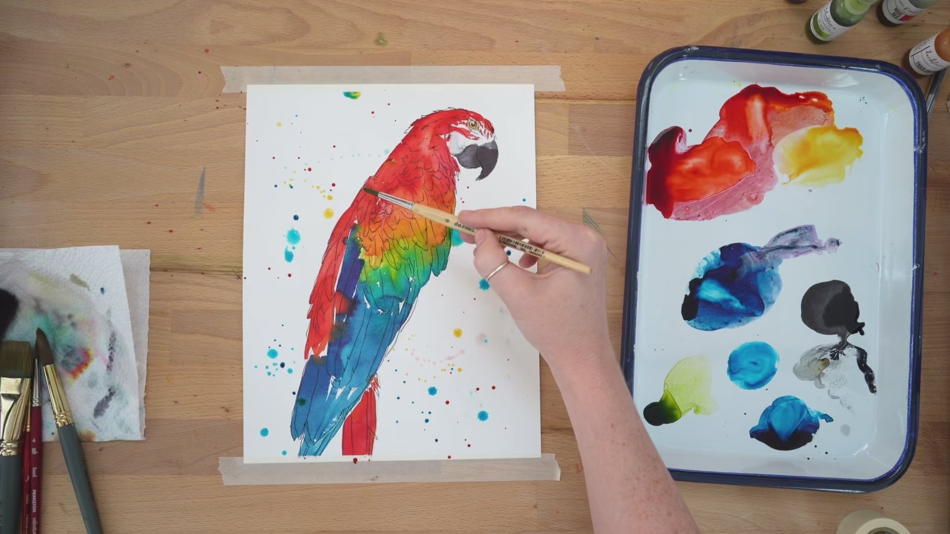 Bird Workbook Video Package (Digital Product Only)
