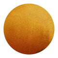 Dandelion Paint Co. Yellow Ochre (7ml)