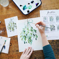 Mistletoe Watercolor Kit