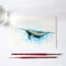 Narwhal Watercolor Kit