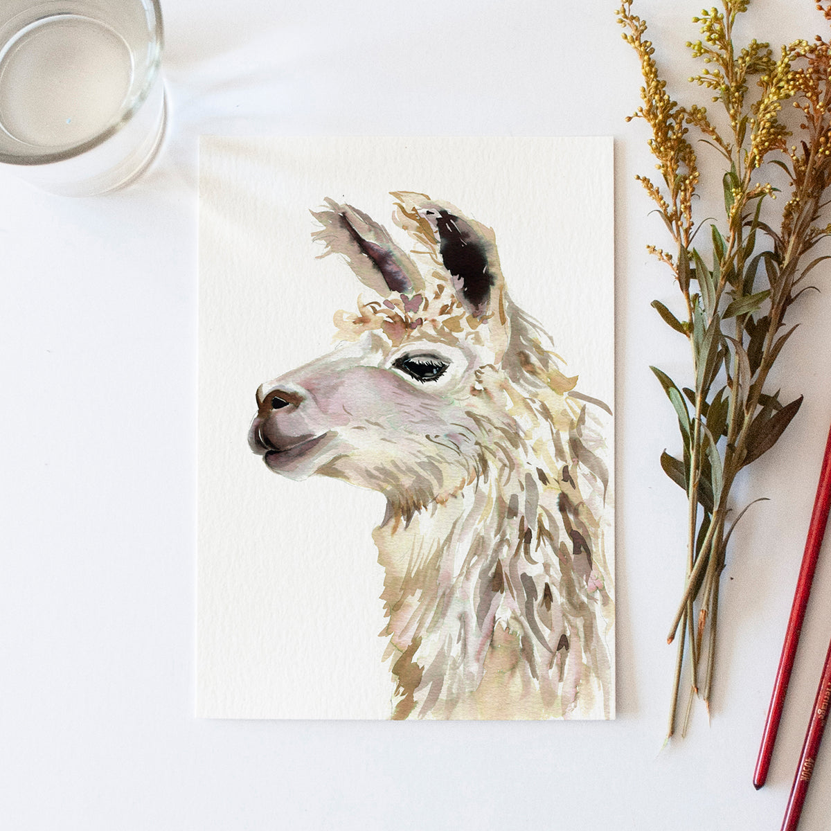 Llama Watercolor Kit