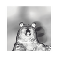 Cyanotype Negative Animal Bundle Set of 4