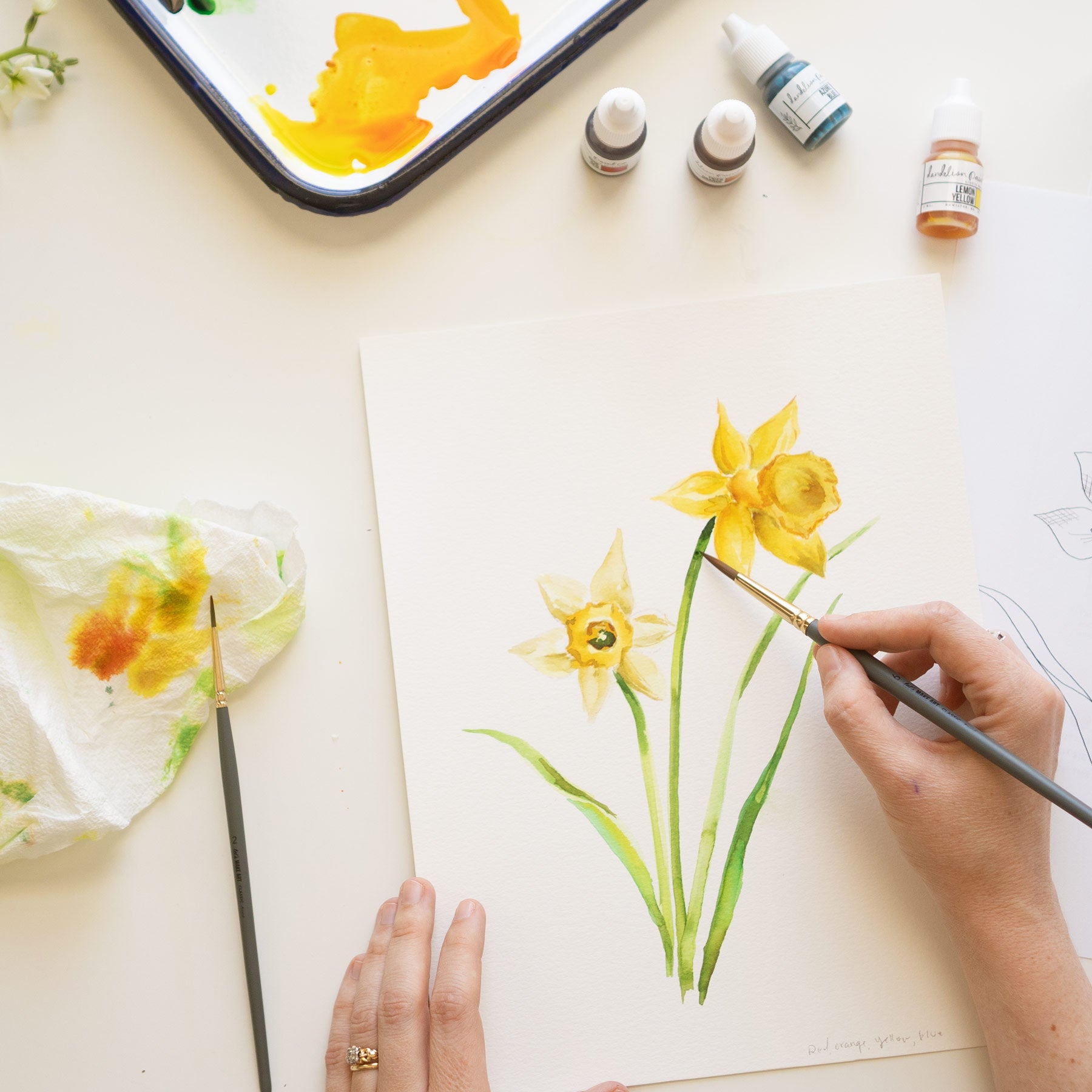 Daffodils Watercolor Kit