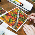 Autumn Road Watercolor Kit