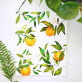 Orange Blossoms Watercolor Kit