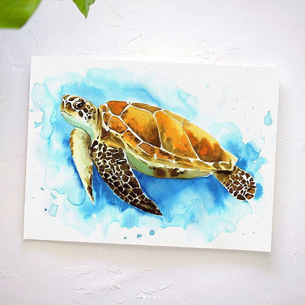 Sea Turtle Watercolor Kit